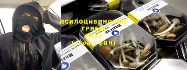 винт Алзамай