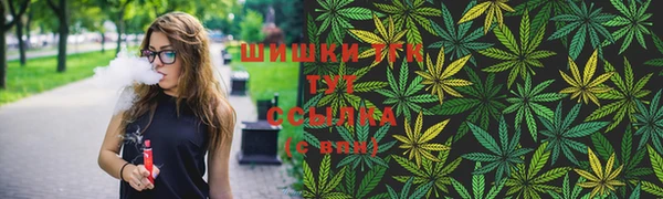 винт Алзамай