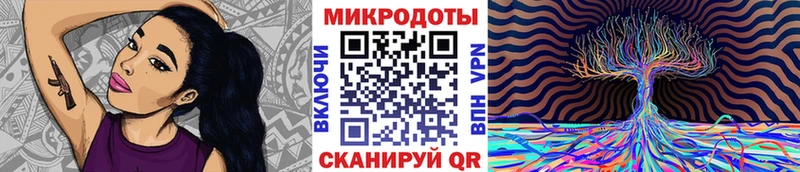 где продают   Шахты  Галлюциногенные грибы GOLDEN TEACHER 